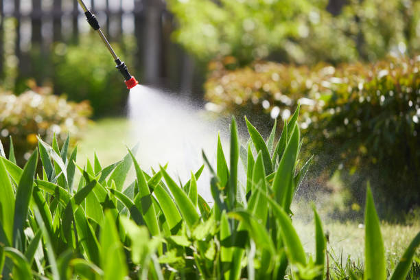 24/7 Emergency Mosquito Control experts in Lone Oak, TN